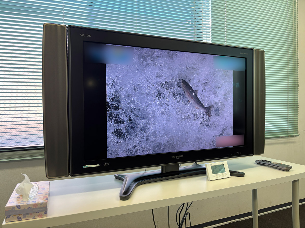 テレビ